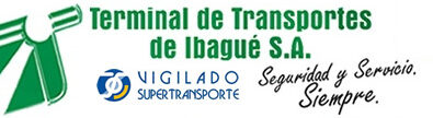 logo terminal