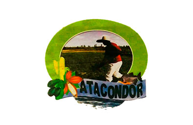 Atacondor-Logo